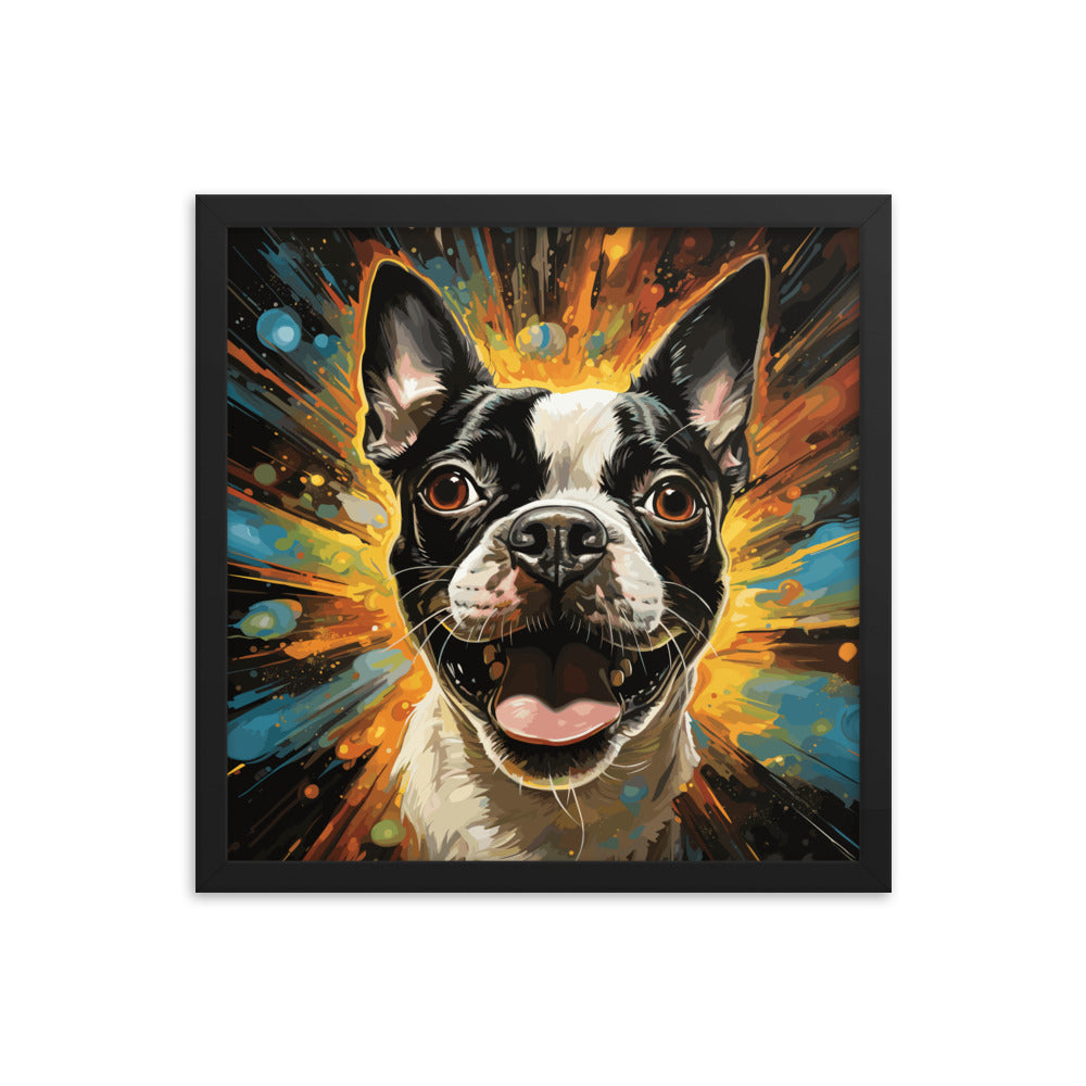 Zoomies Excitement Boston Terrier Dog Framed poster