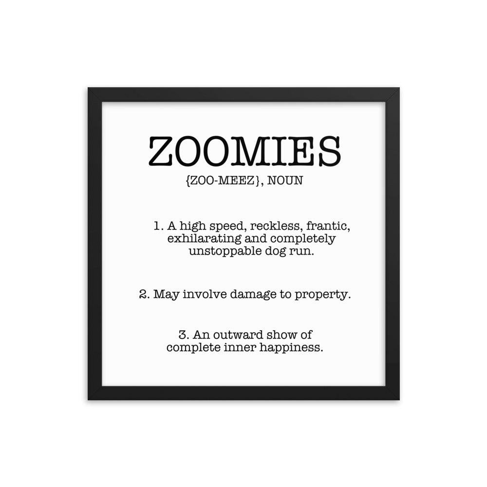 Zoomies Definition Framed Poster