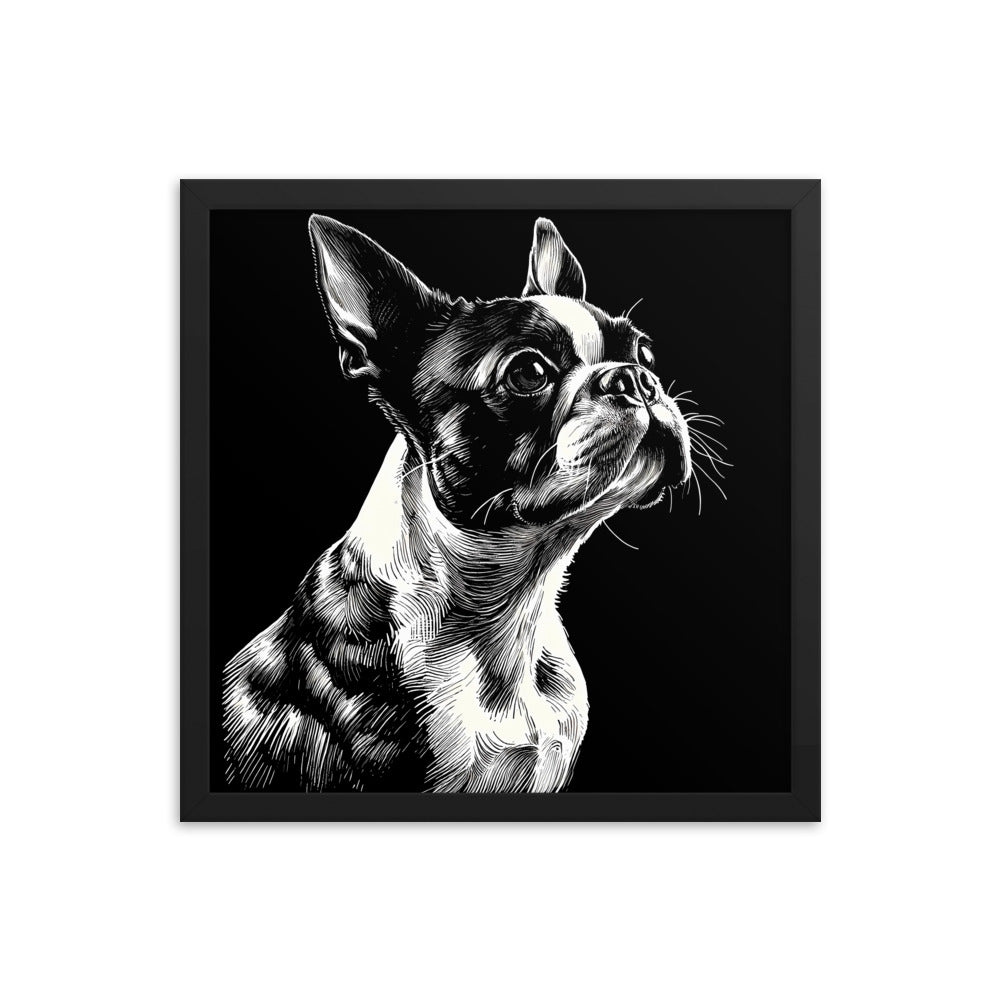 Boston Terrier Line Art Framed Poster