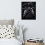 Boston Terrier Dog Face Closeup Framed Poster