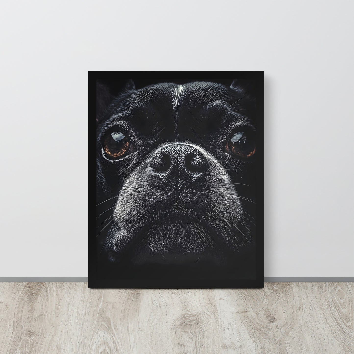 Boston Terrier Dog Face Closeup Framed Poster