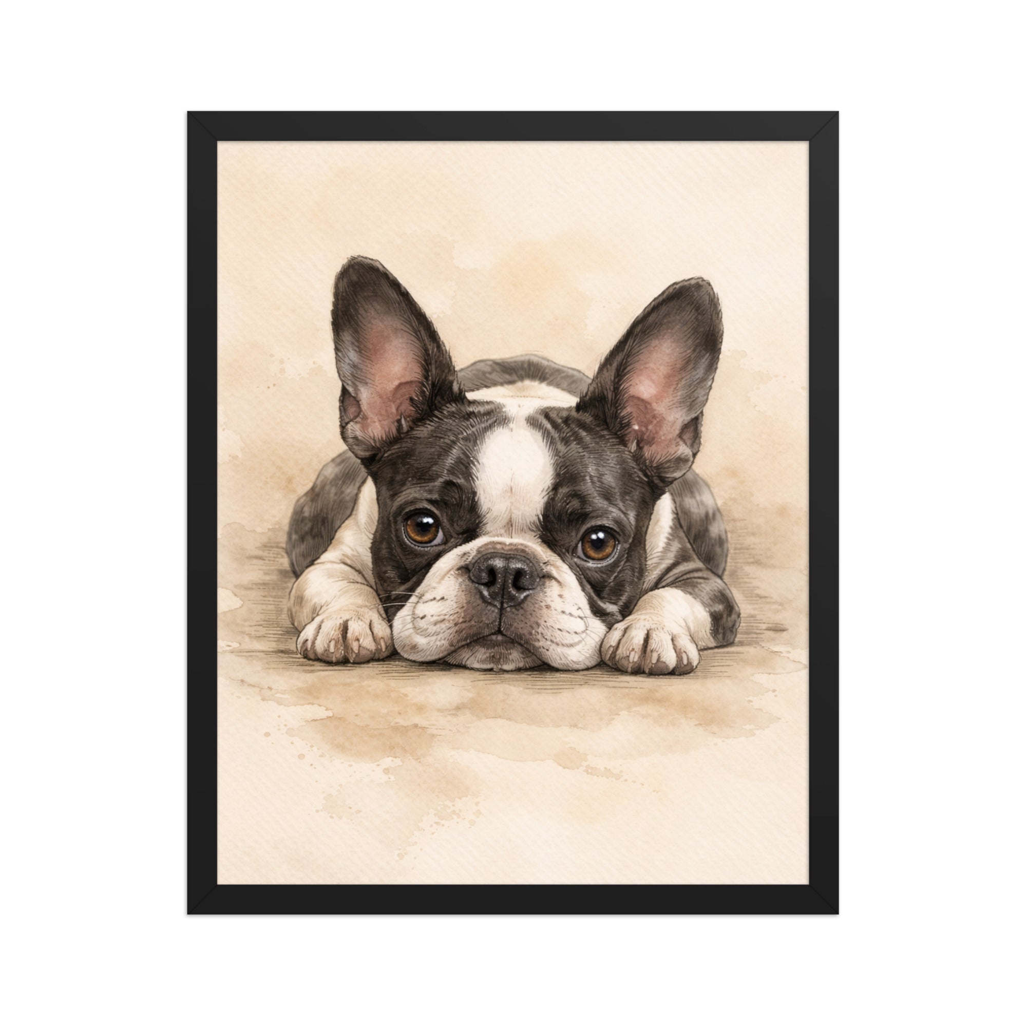 Watercolor Boston Terrier Dog Art Print Framed Poster . Black 16″×20″