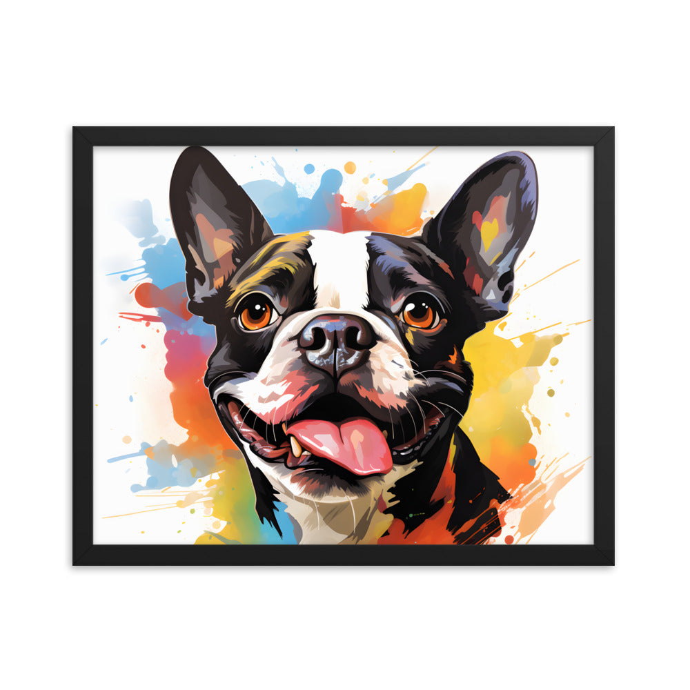 Colorful Playful Boston Terrier Dog Splash Art Framed Poster