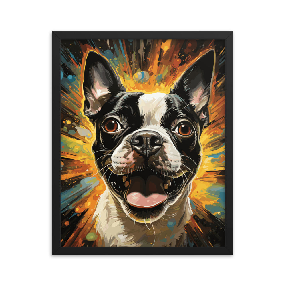 Zoomies Excitement Boston Terrier Dog Framed poster