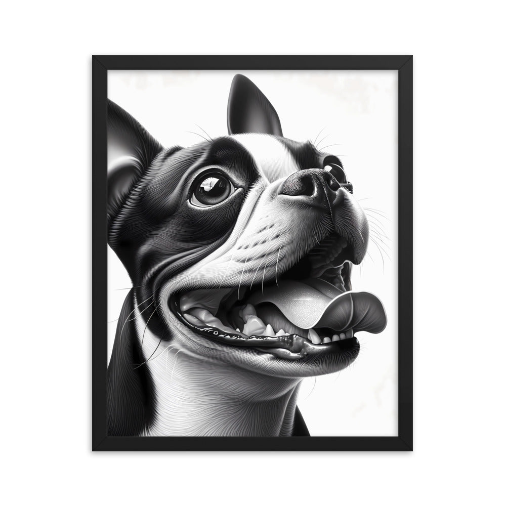 Overjoyed Boston Terrier Dog Framed Poster