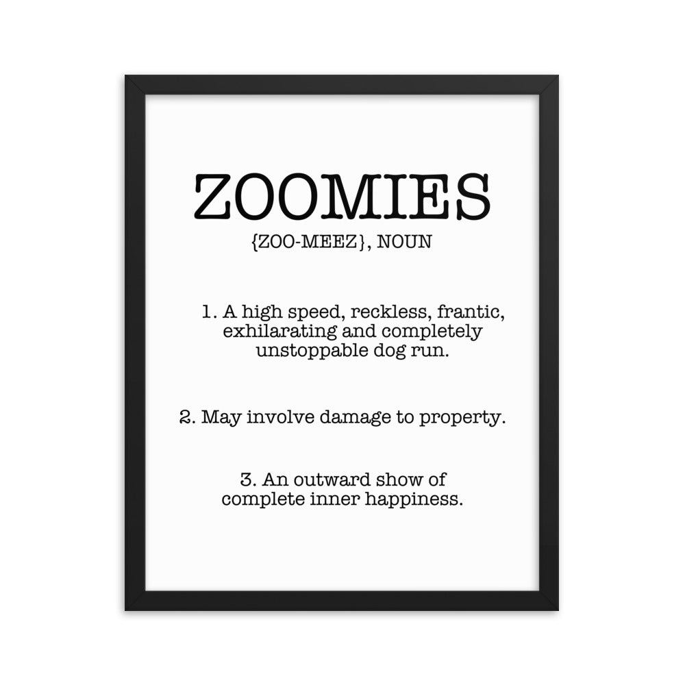 Zoomies Definition Framed Poster