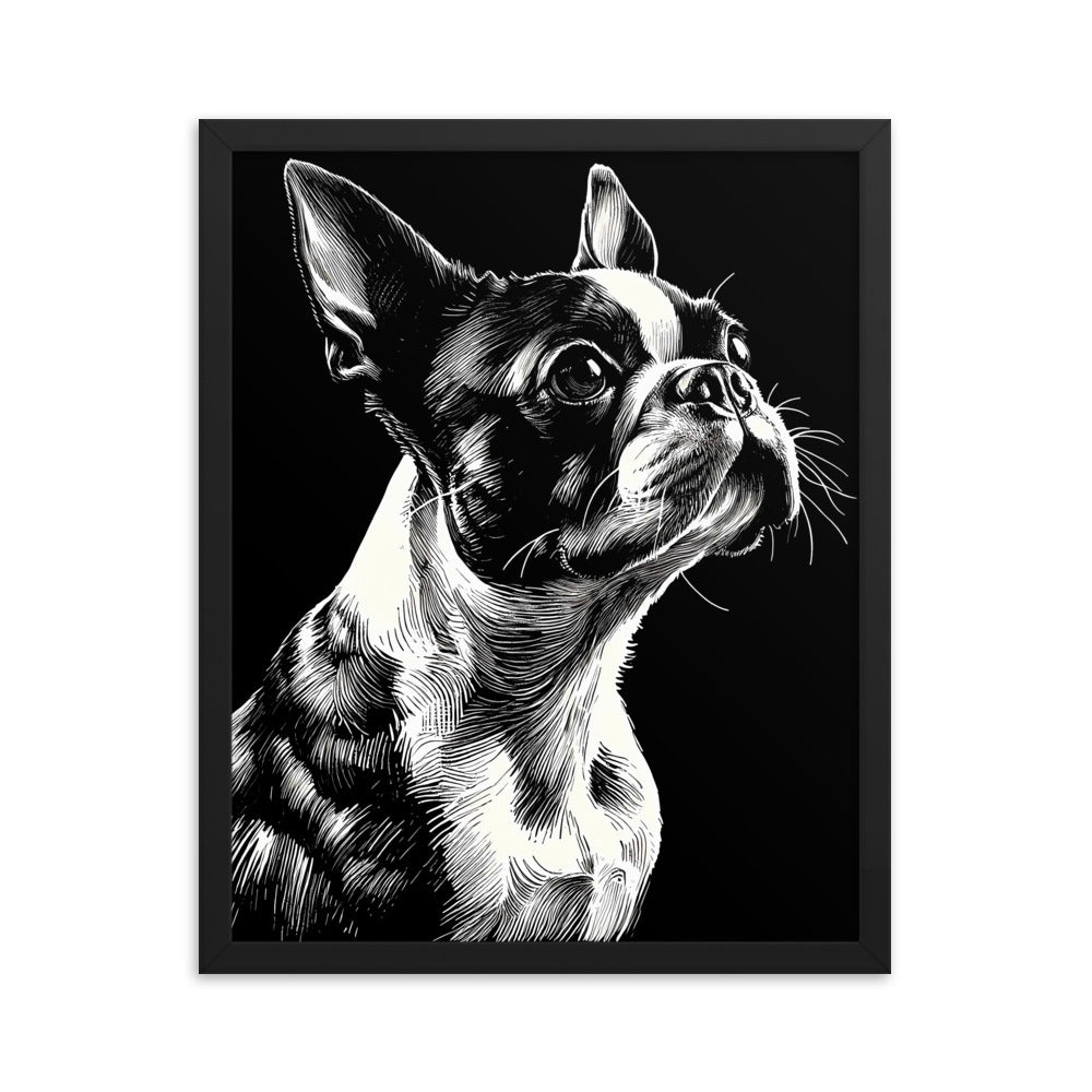 Boston Terrier Line Art Framed Poster