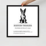 Boston Terrier Definition Framed Poster