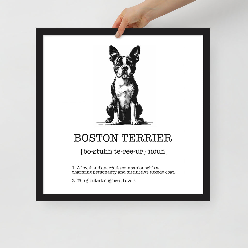 Boston Terrier Definition Framed Poster