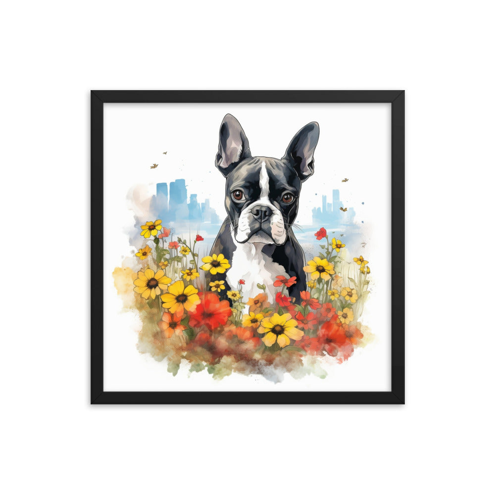 Boston Terrier Dog In A Garden Outside The City Framed Poster