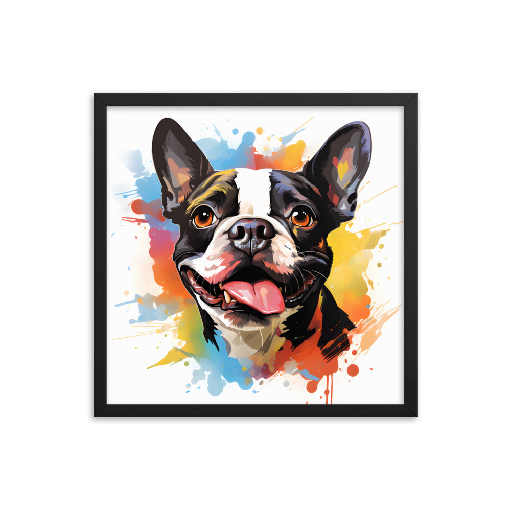 Colorful Playful Boston Terrier Dog Splash Art Framed Poster