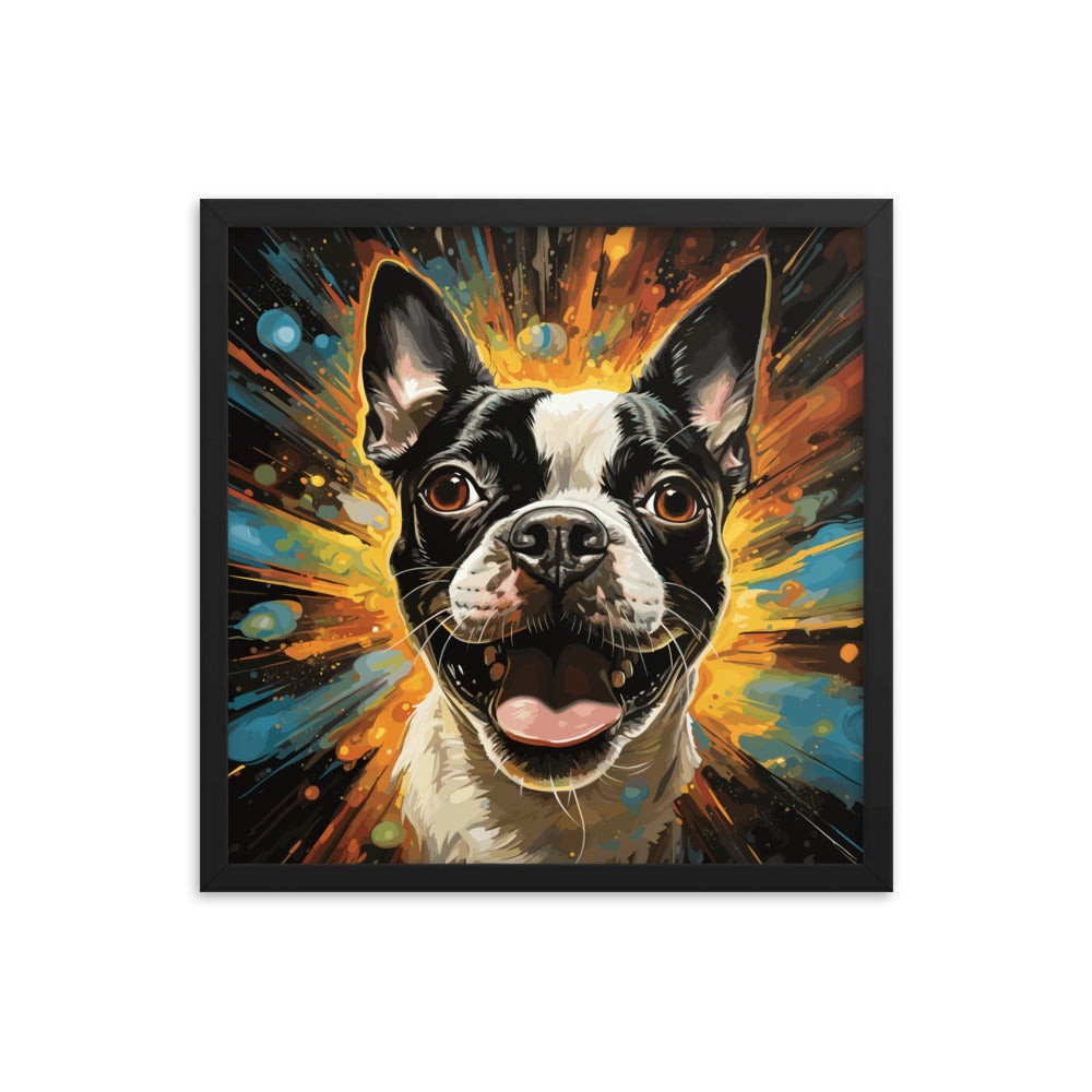 Zoomies Excitement Boston Terrier Dog Framed poster