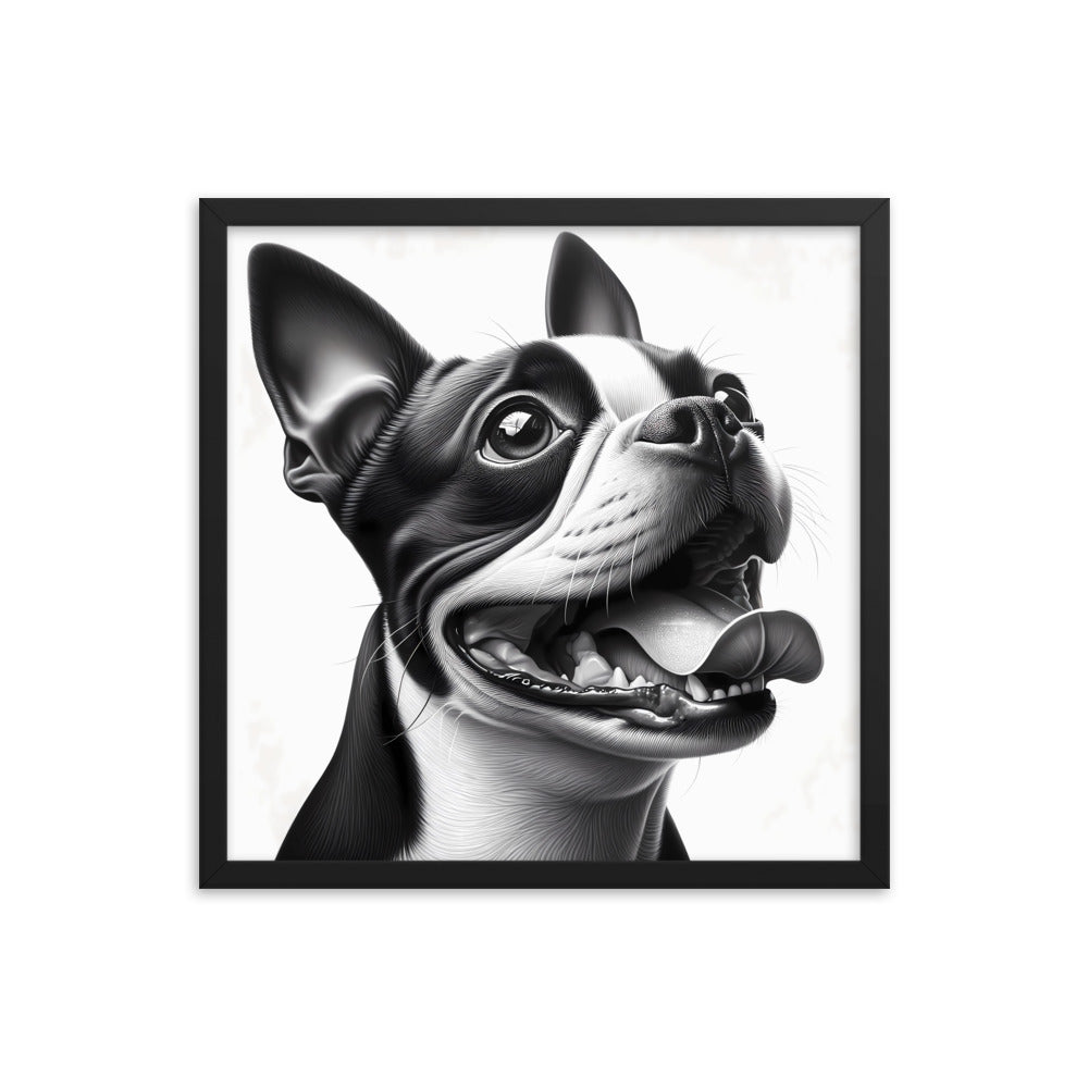 Overjoyed Boston Terrier Dog Framed Poster