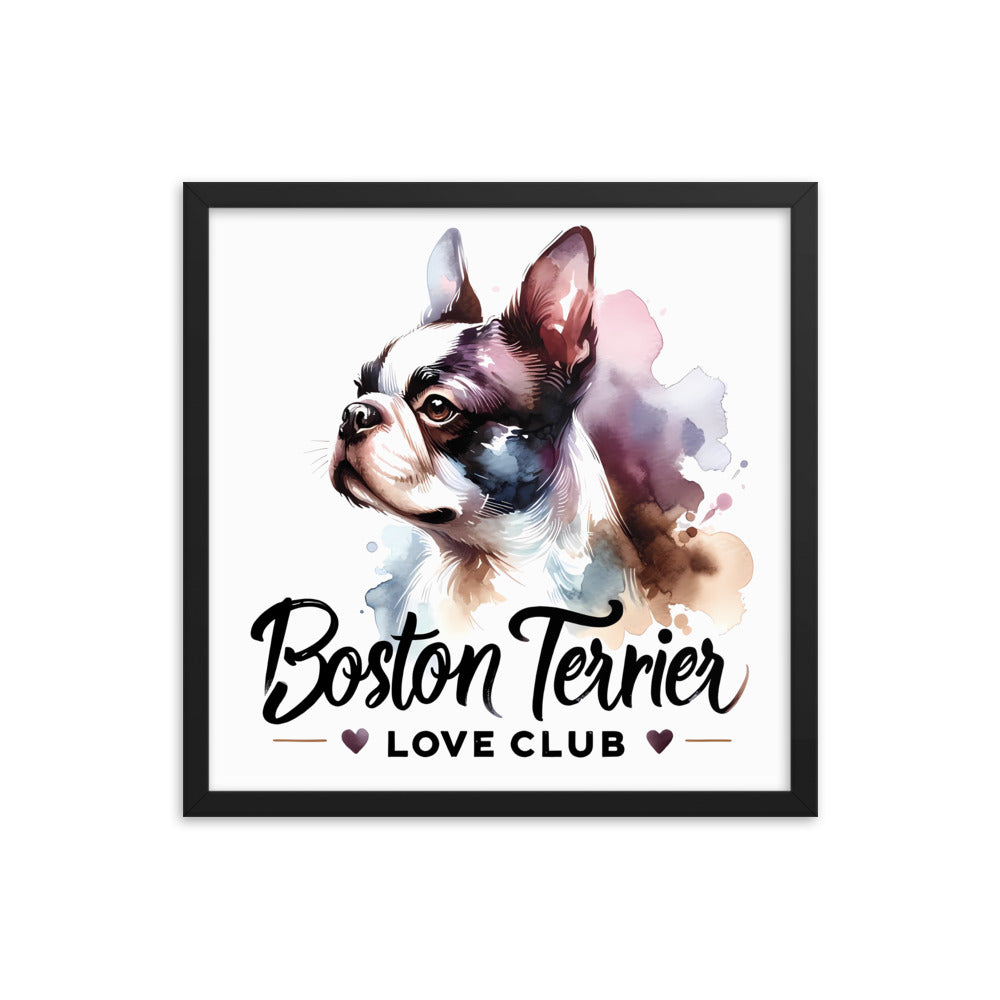 Boston Terrier Love Club - Elegant Watercolor Boston Terrier Art Framed Poster