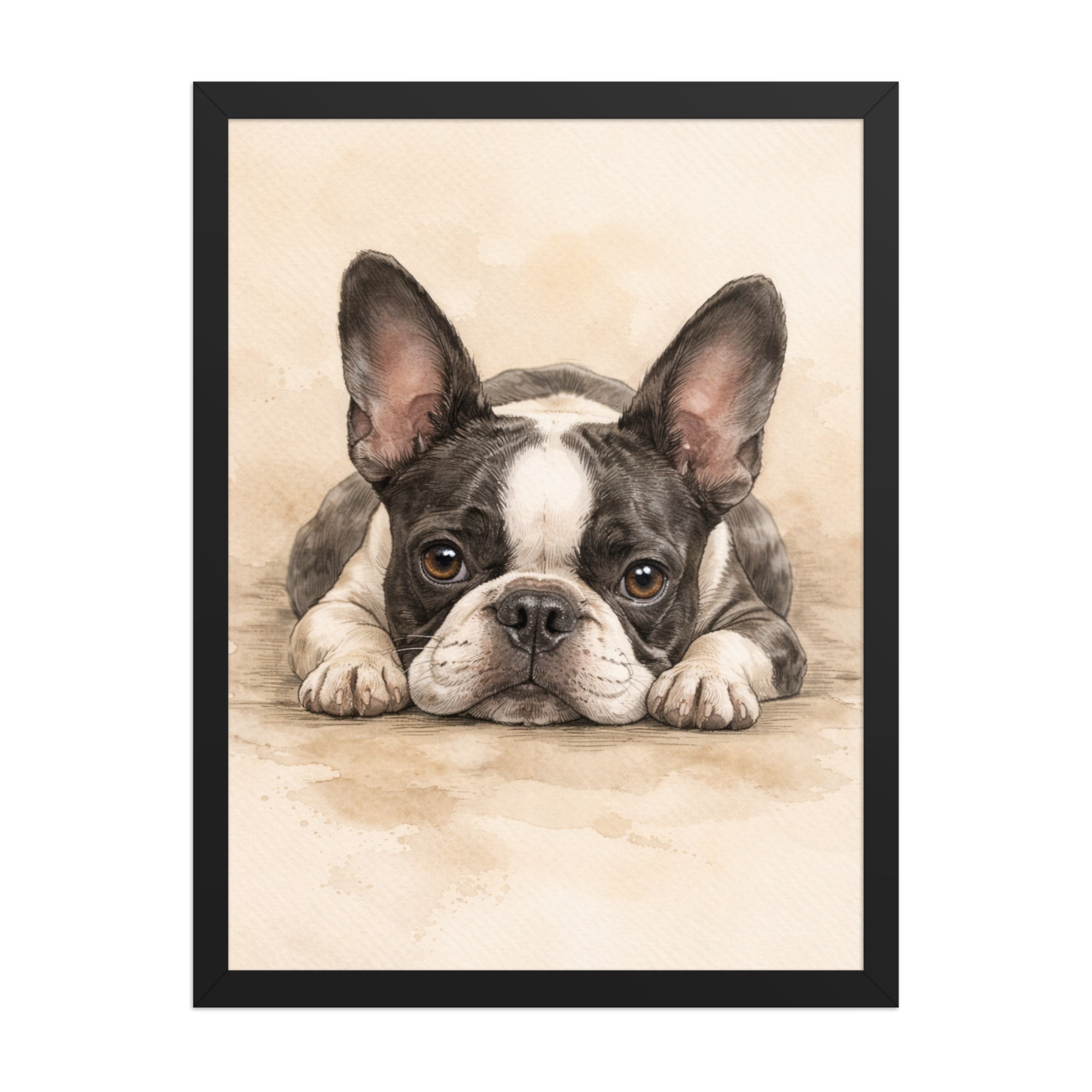 Watercolor Boston Terrier Dog Art Print Framed Poster . Black 18″×24″