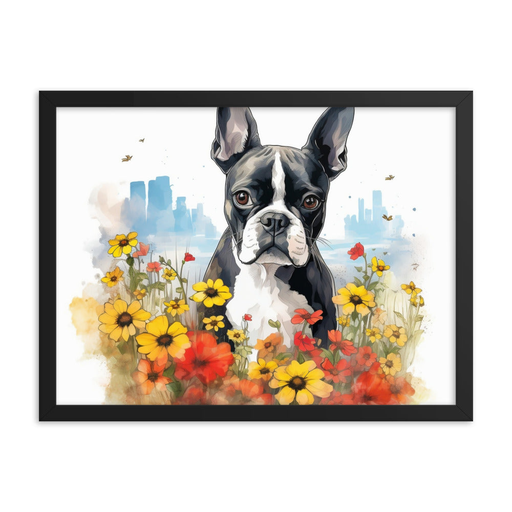 Boston Terrier Dog In A Garden Outside The City Framed Poster