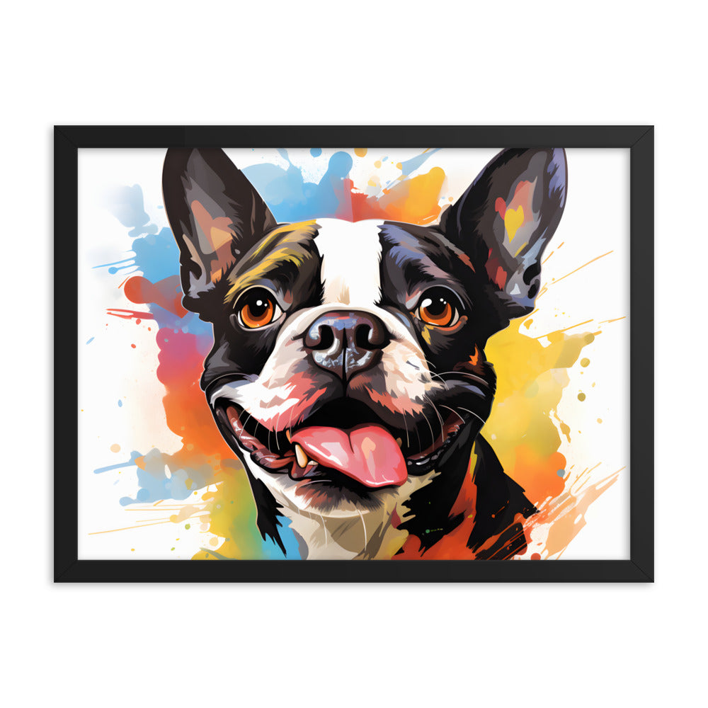 Colorful Playful Boston Terrier Dog Splash Art Framed Poster