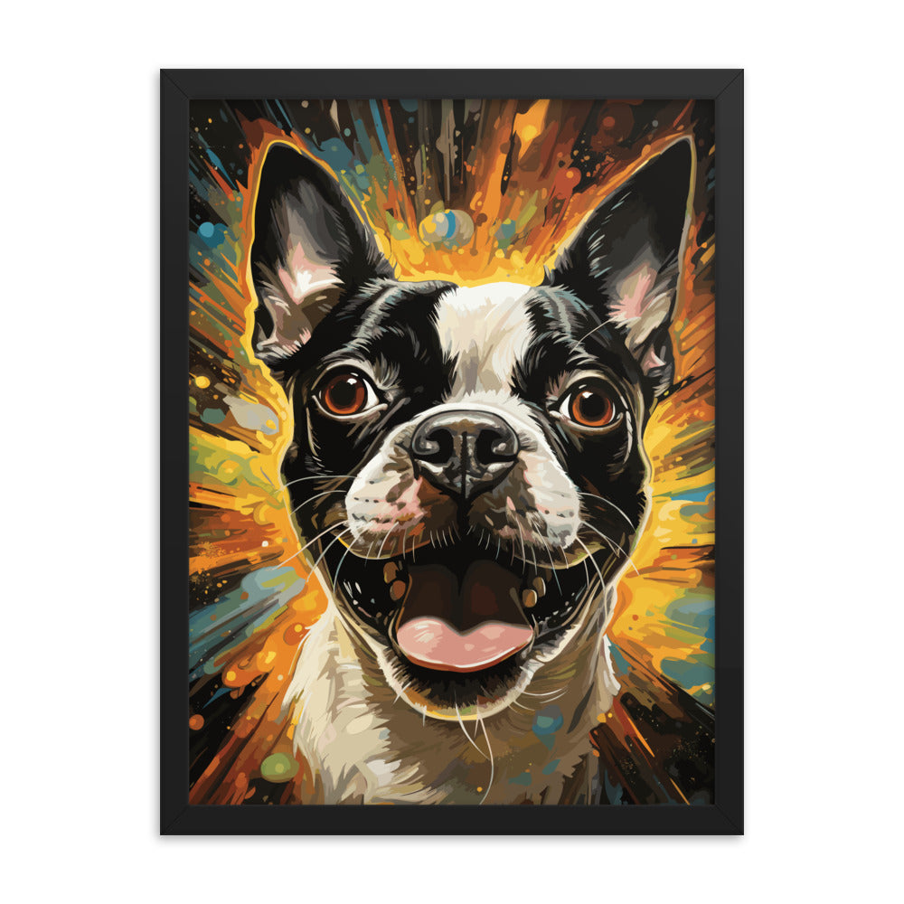 Zoomies Excitement Boston Terrier Dog Framed poster