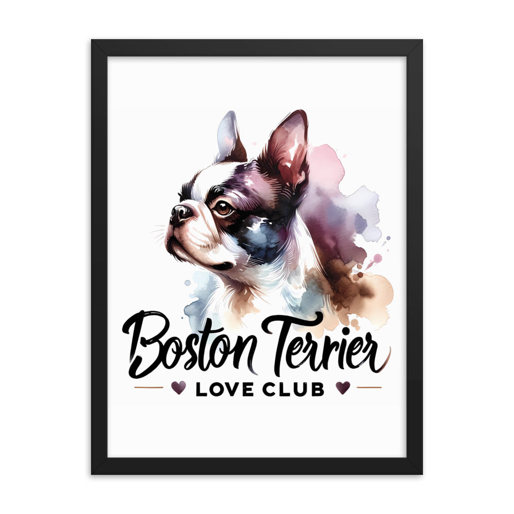 Boston Terrier Love Club - Elegant Watercolor Boston Terrier Art Framed Poster