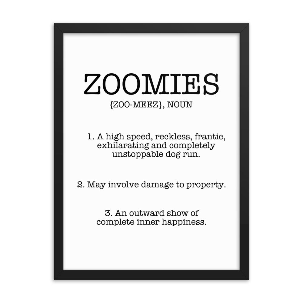 Zoomies Definition Framed Poster