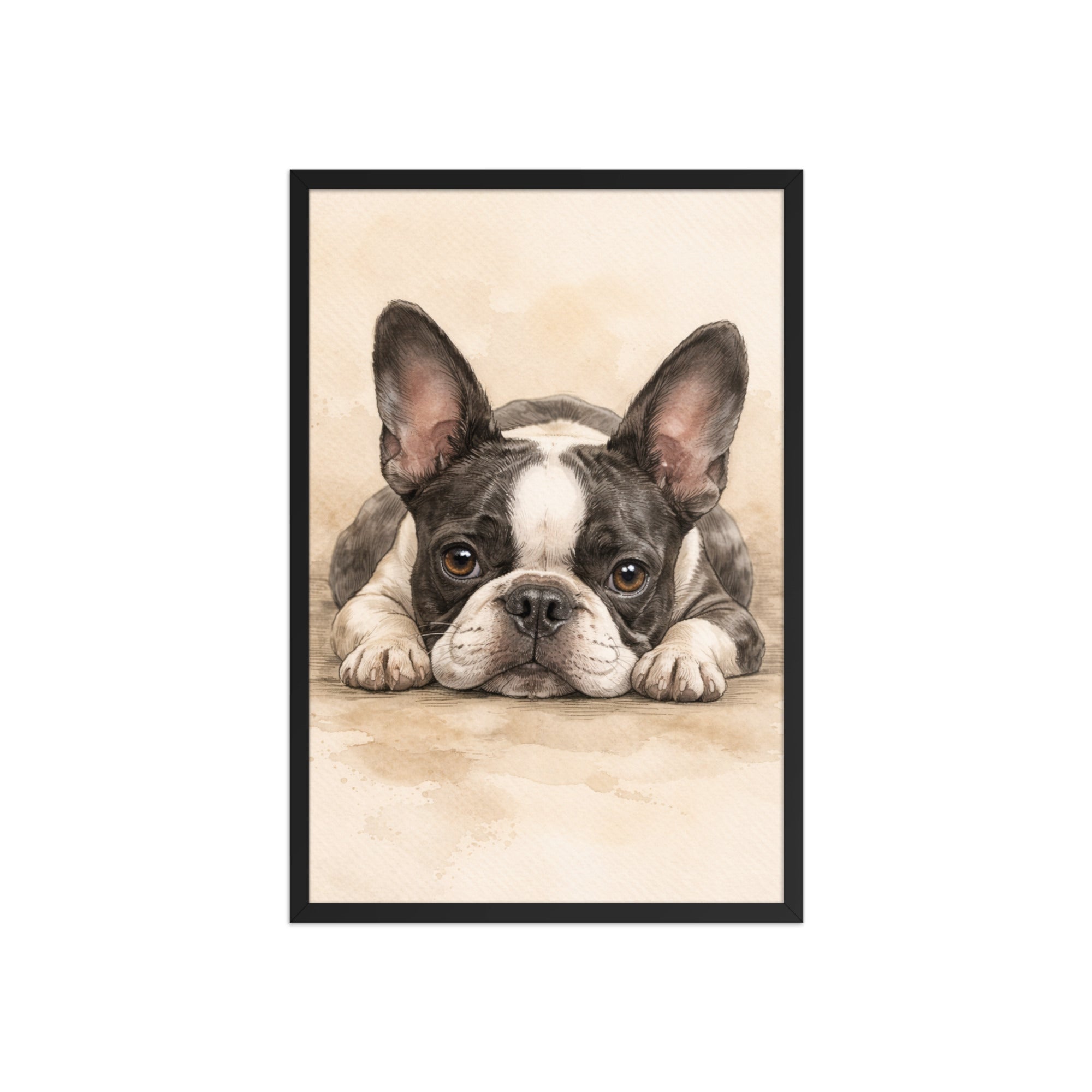 Watercolor Boston Terrier Dog Art Print Framed Poster . Black 20″×30″