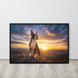 The Sunset Guardian - Boston Terrier - Framed Poster