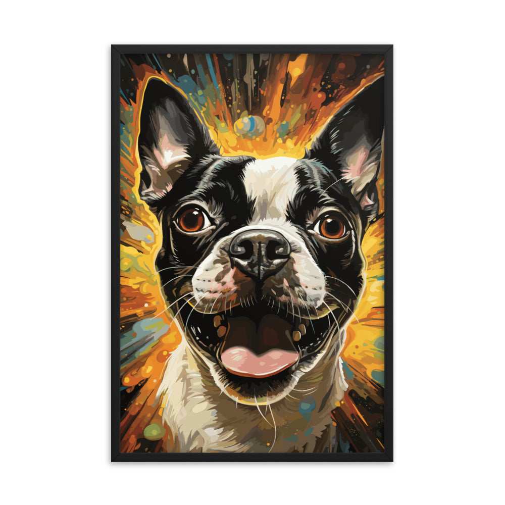 Zoomies Excitement Boston Terrier Dog Framed poster