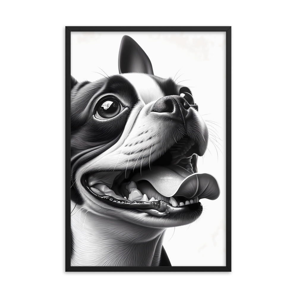 Overjoyed Boston Terrier Dog Framed Poster