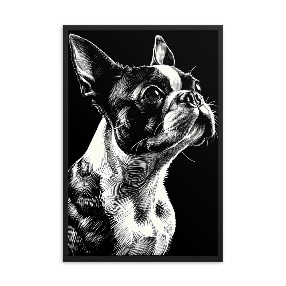 Boston Terrier Line Art Framed Poster