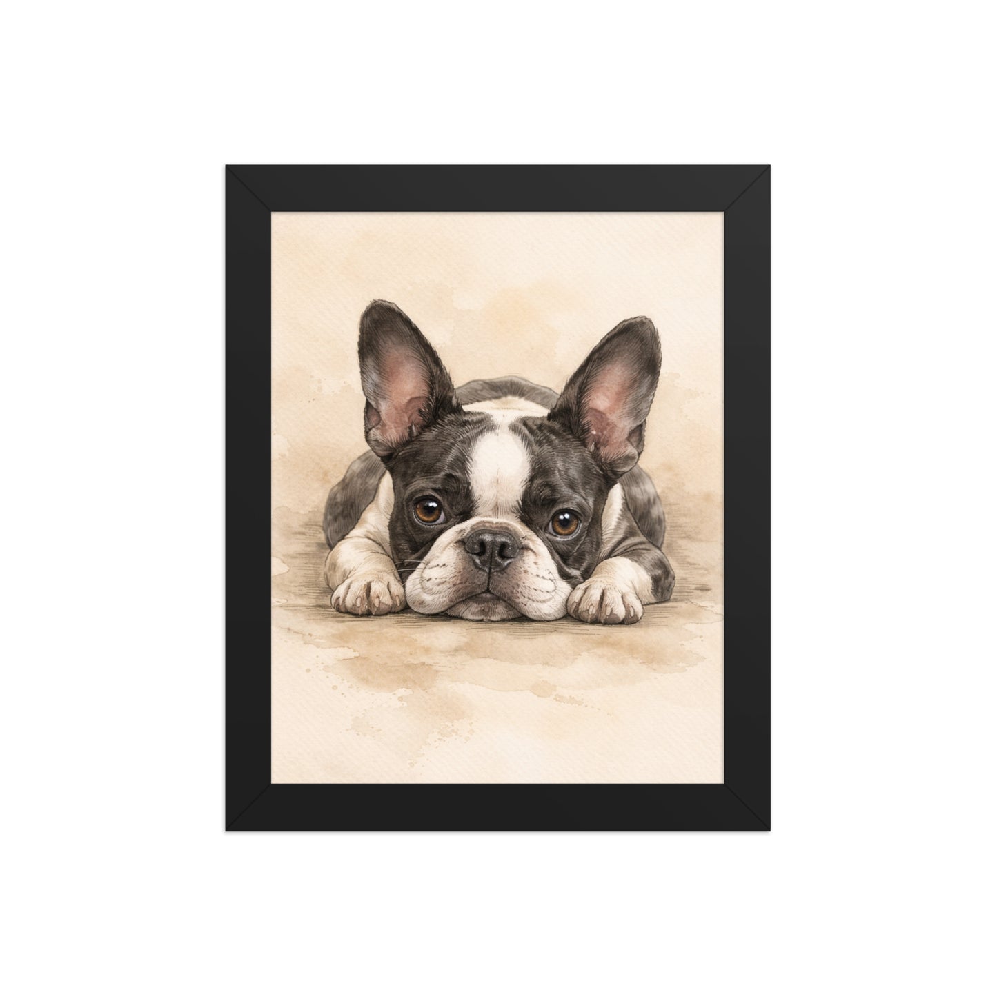 Watercolor Boston Terrier Dog Art Print Framed Poster . Black 8″×10″