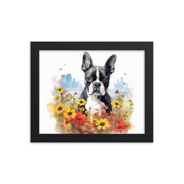 Boston Terrier Dog In A Garden Outside The City Framed Poster