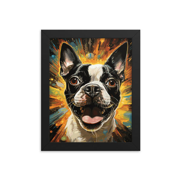 Zoomies Excitement Boston Terrier Dog Framed poster