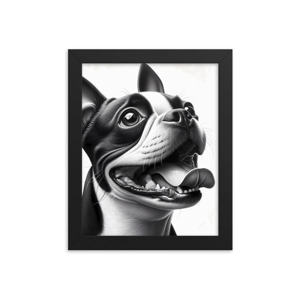 Overjoyed Boston Terrier Dog Framed Poster