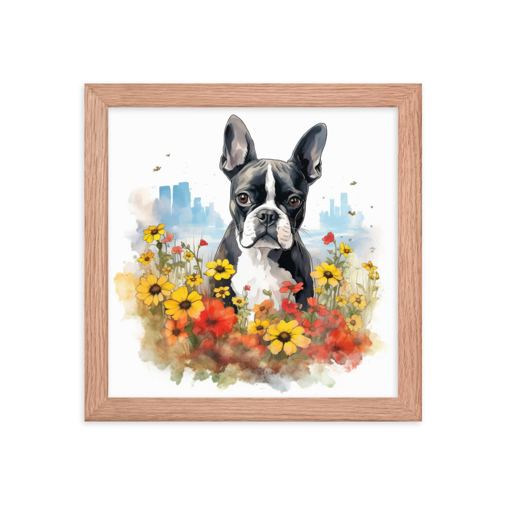 Boston Terrier Dog In A Garden Outside The City Framed Poster