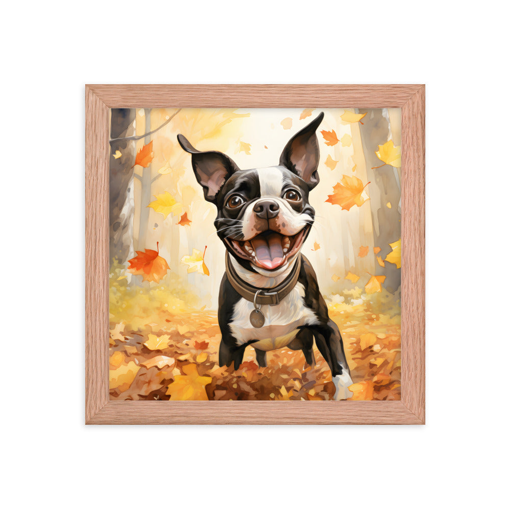 Cheerful Boston Terrier Dog Exploring A Park Watercolor Framed poster