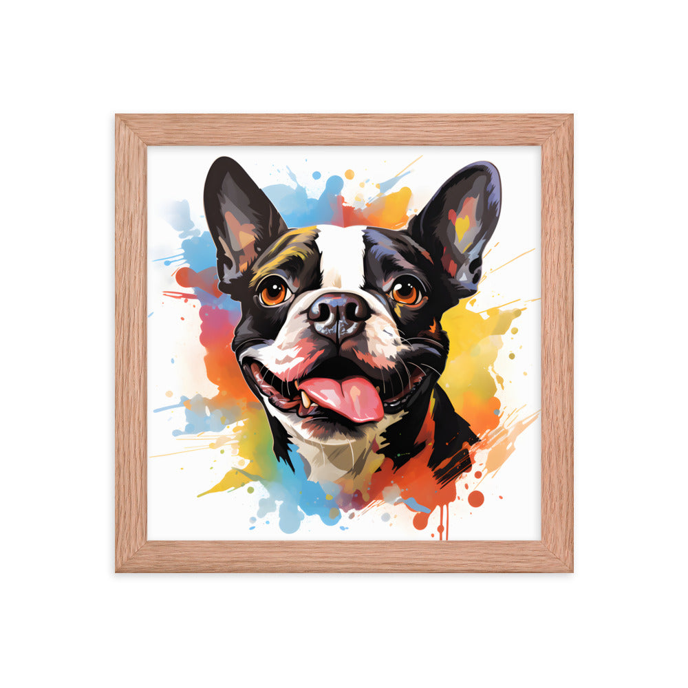 Colorful Playful Boston Terrier Dog Splash Art Framed Poster