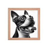 Overjoyed Boston Terrier Dog Framed Poster