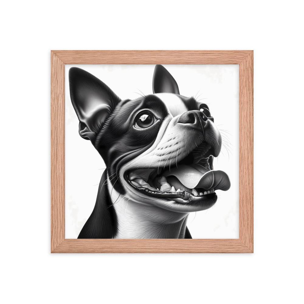 Overjoyed Boston Terrier Dog Framed Poster