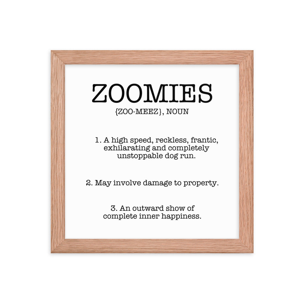 Zoomies Definition Framed Poster