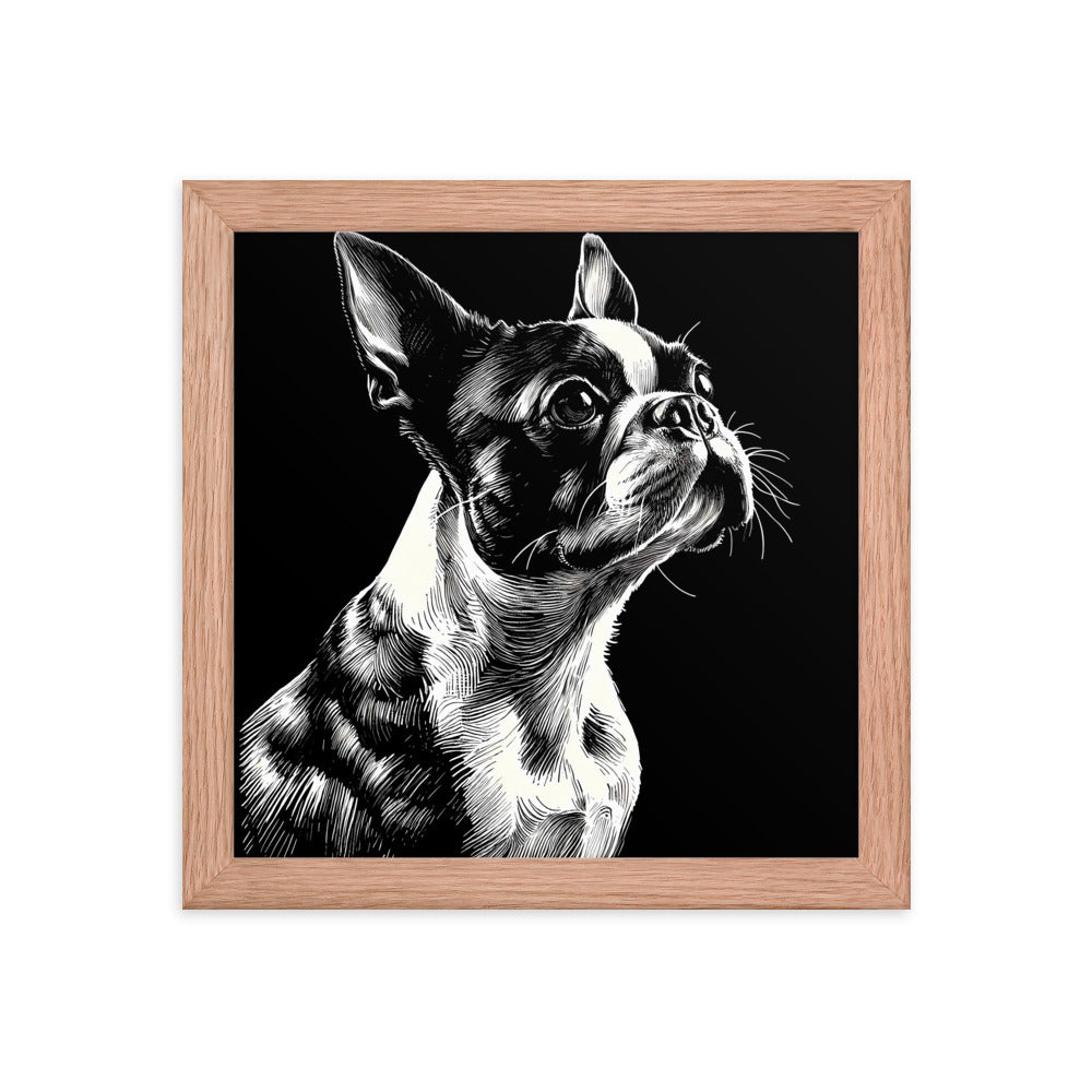 Boston Terrier Line Art Framed Poster