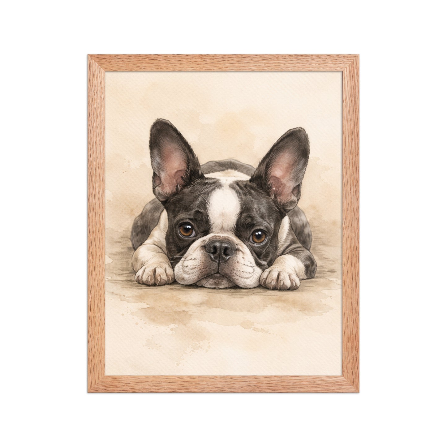 Watercolor Boston Terrier Dog Art Print Framed Poster . Red Oak 11″×14″