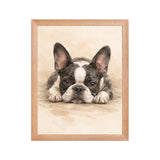 Watercolor Boston Terrier Dog Art Print Framed Poster . Red Oak 11″×14″
