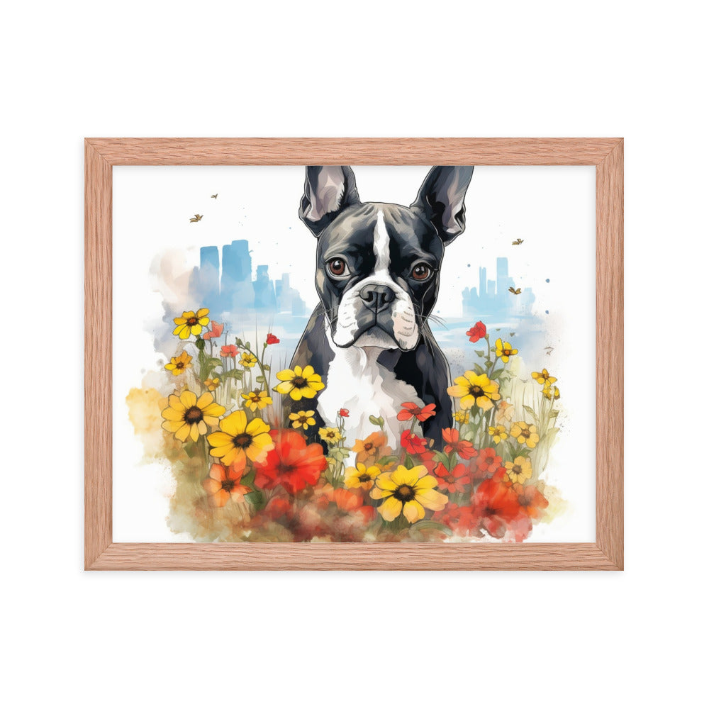 Boston Terrier Dog In A Garden Outside The City Framed Poster