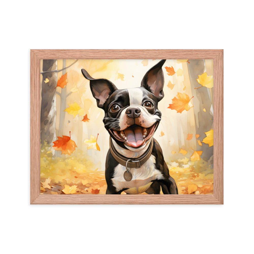 Cheerful Boston Terrier Dog Exploring A Park Watercolor Framed poster