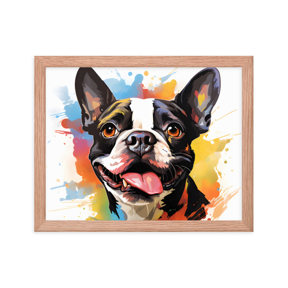 Colorful Playful Boston Terrier Dog Splash Art Framed Poster