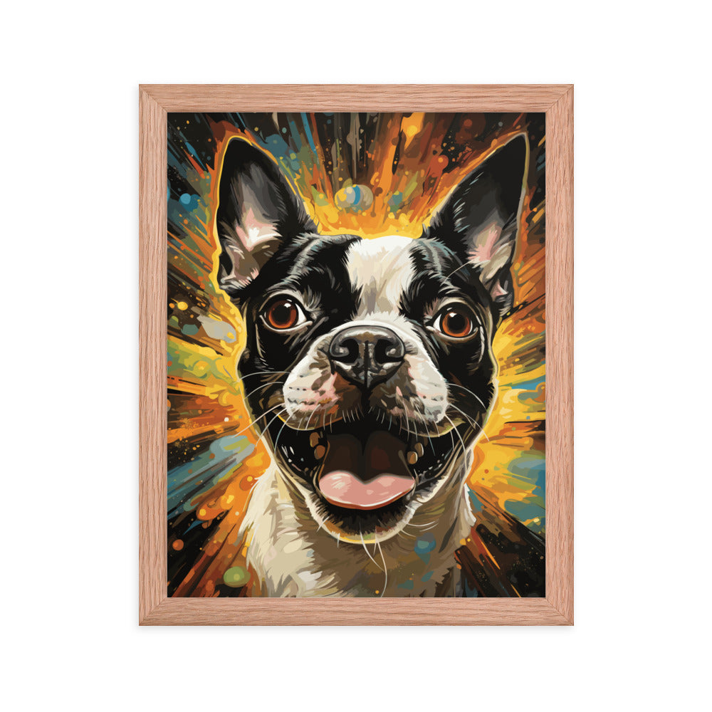 Zoomies Excitement Boston Terrier Dog Framed poster