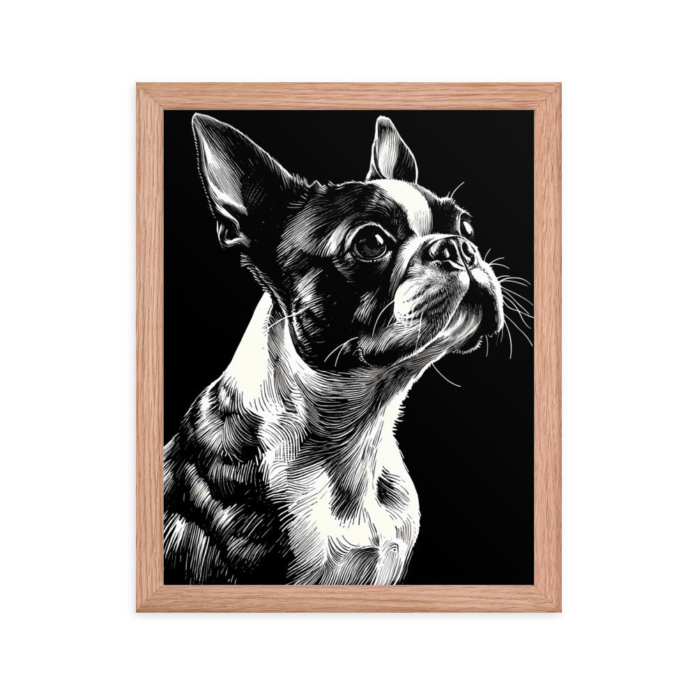 Boston Terrier Line Art Framed Poster