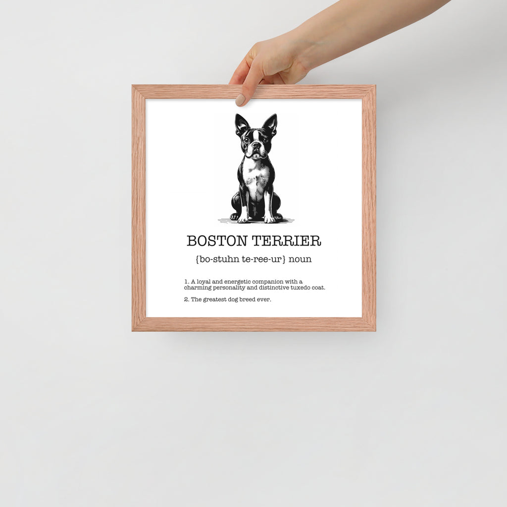 Boston Terrier Definition Framed Poster