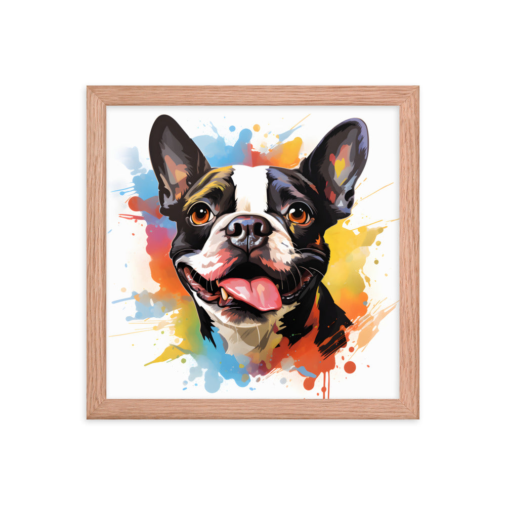 Colorful Playful Boston Terrier Dog Splash Art Framed Poster