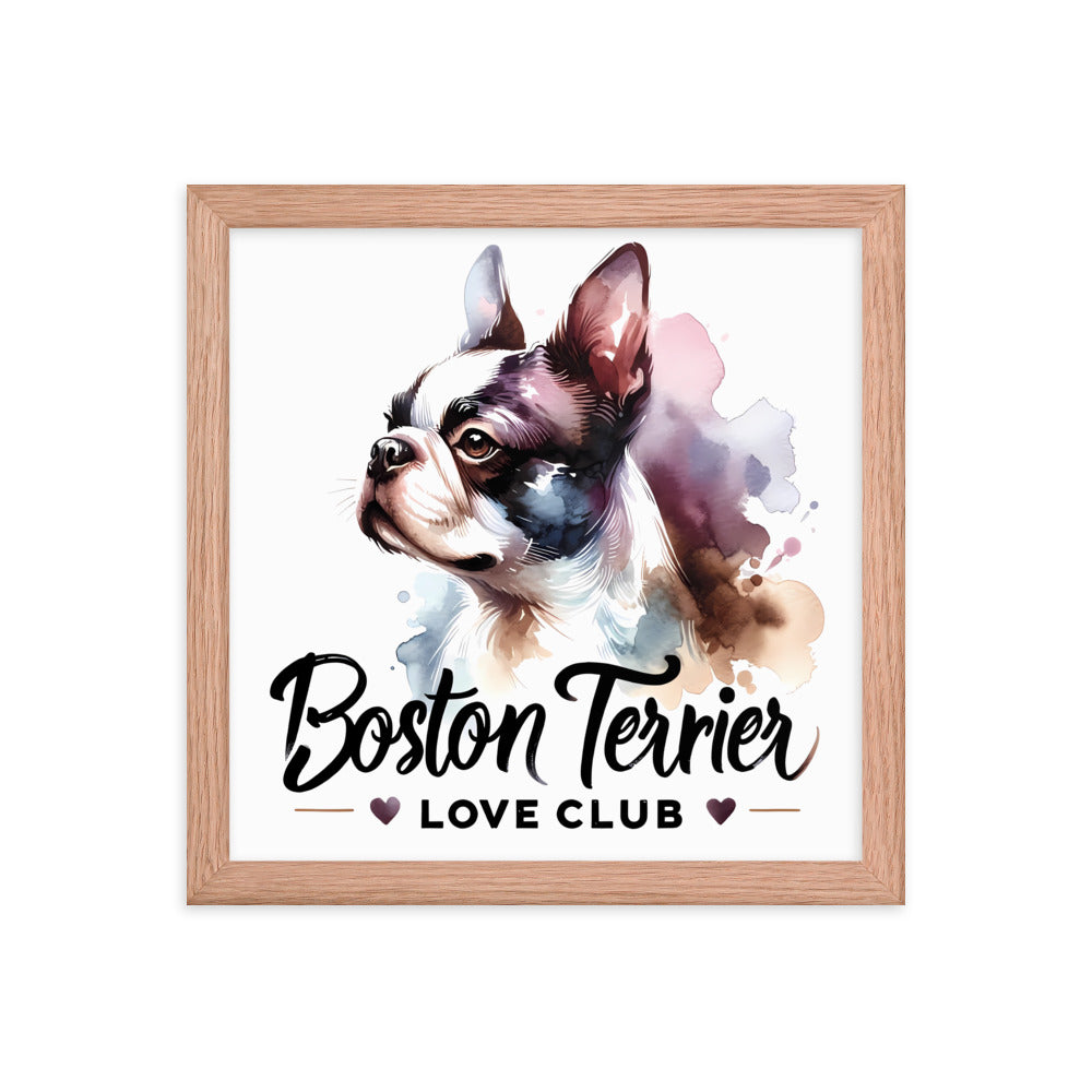 Boston Terrier Love Club - Elegant Watercolor Boston Terrier Art Framed Poster